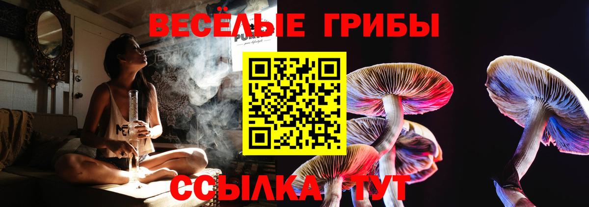 Златоуст  Псилоцибиновые грибы Psilocybine cubensis  Вход с VPN 